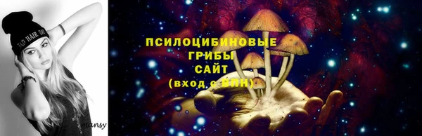 apvp Алзамай