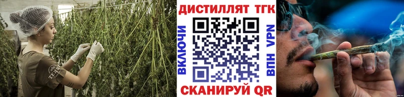 Дистиллят ТГК Wax  Кировград 